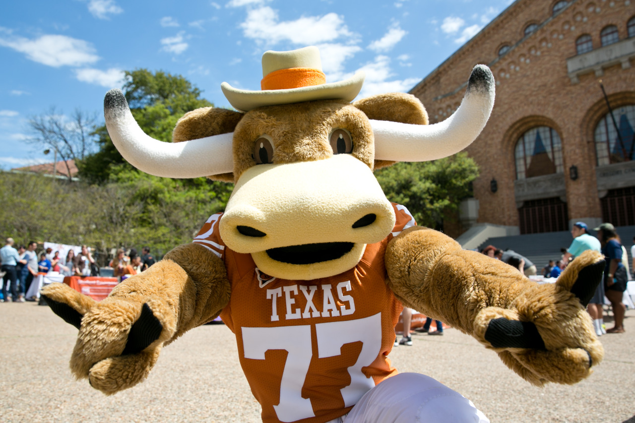 Bevo mascot with hat and Texas football jersey pictured facing forward and holding out arms with hookem horn signs 