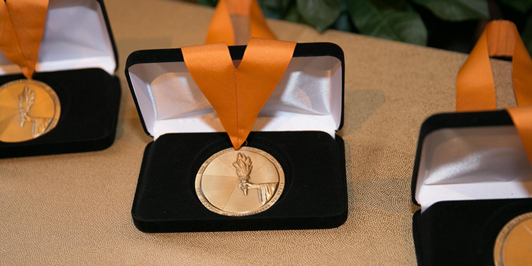 Academy of Distinguished Teachers medals. 