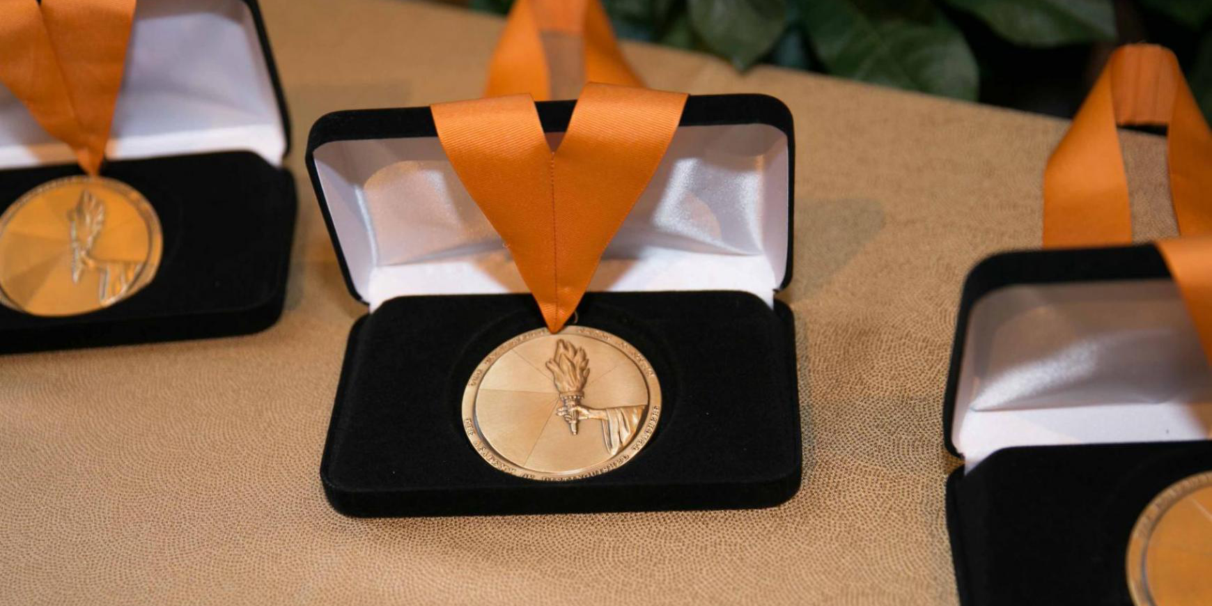 UT Academy of Distinguished Teachers Medals